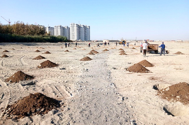 В Самарканде началось создание парка ЮНЕСКО