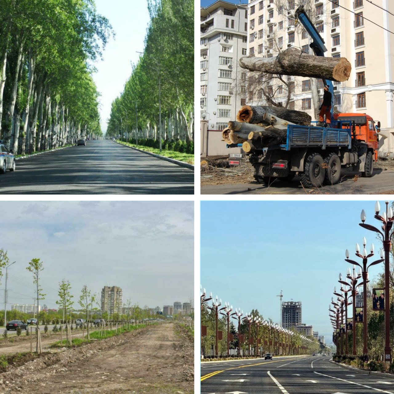 «Жашыл Мурас» наизнанку, или как экогеноцид убил самый зеленый город Средней Азии