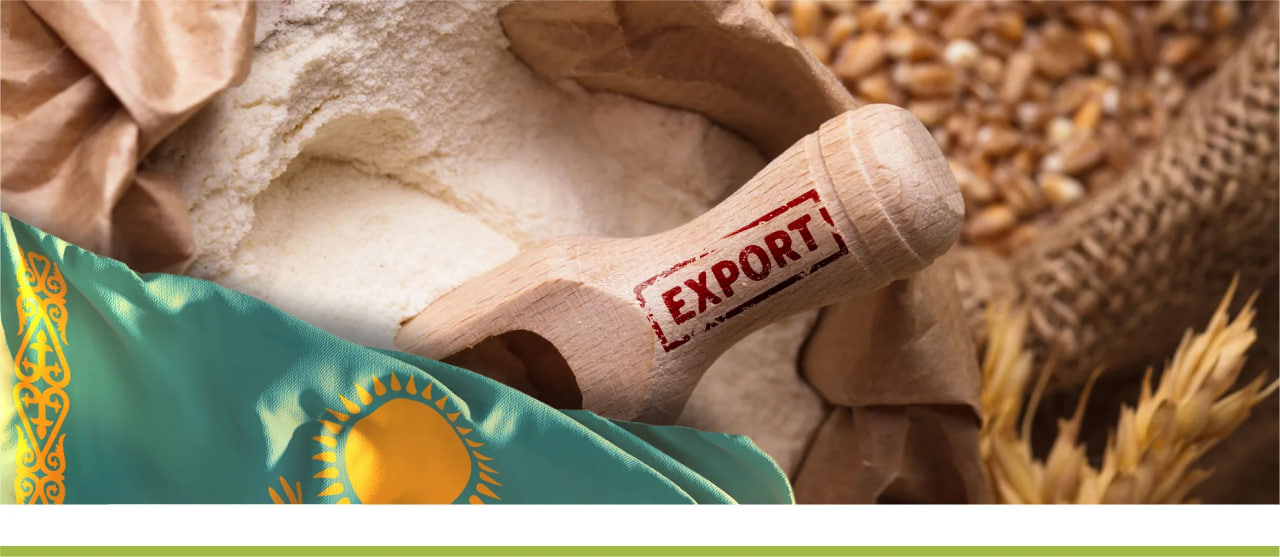 Новые рынки вместо США: казахстанские производители глютена и крахмала ищут пути экспорта