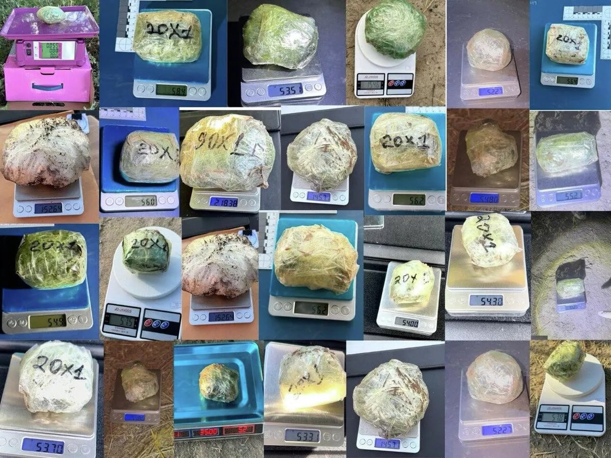 ГКНБ пресек работу крупного наркоканала в Кыргызстане