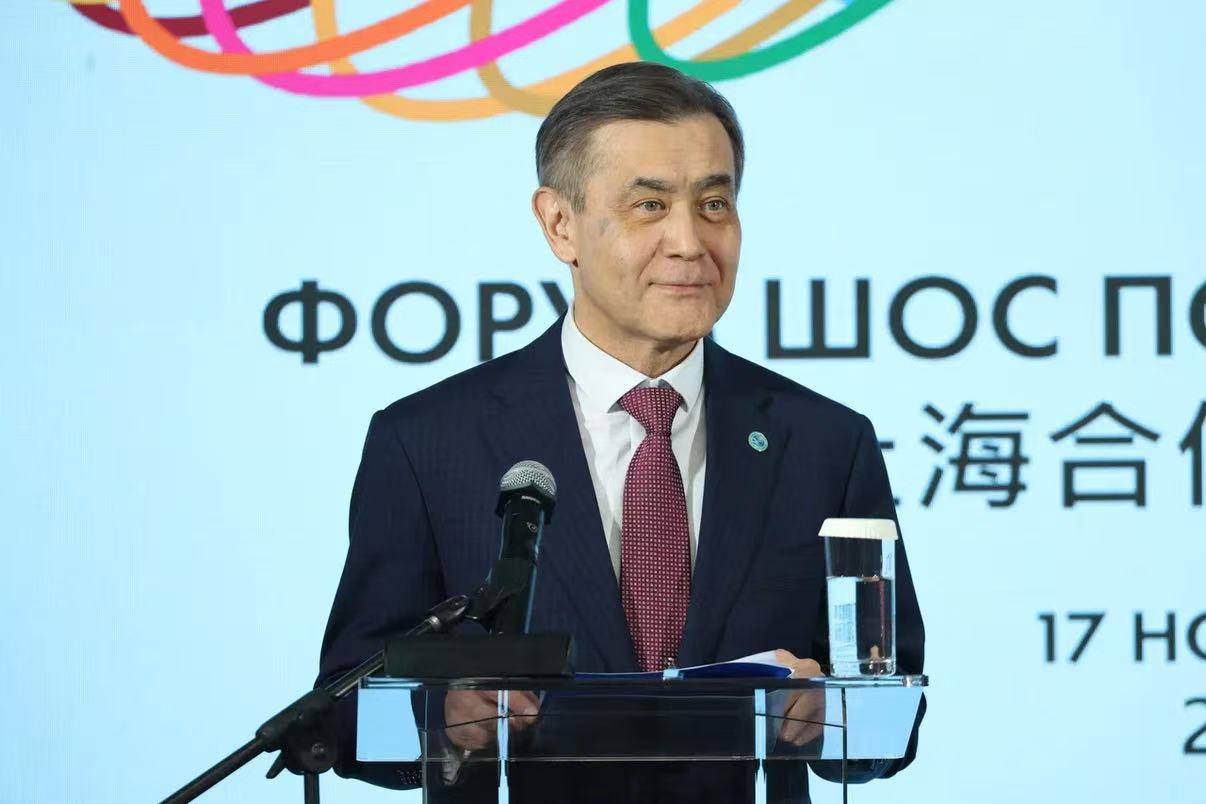 Страны ШОС: доля в мире, приоритеты устойчивого развития и новый транспортный коридор