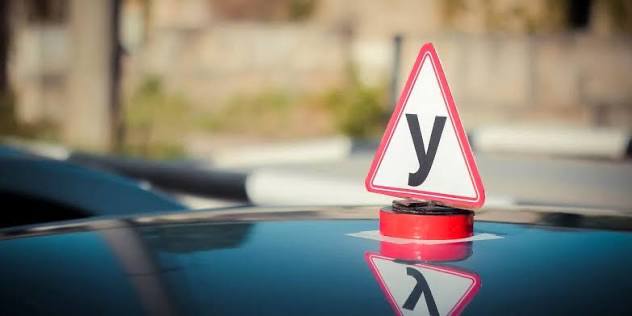 Указ Садыра Жапарова о приостановке лицензий частных автошкол: как на решение отреагировали участники рынка