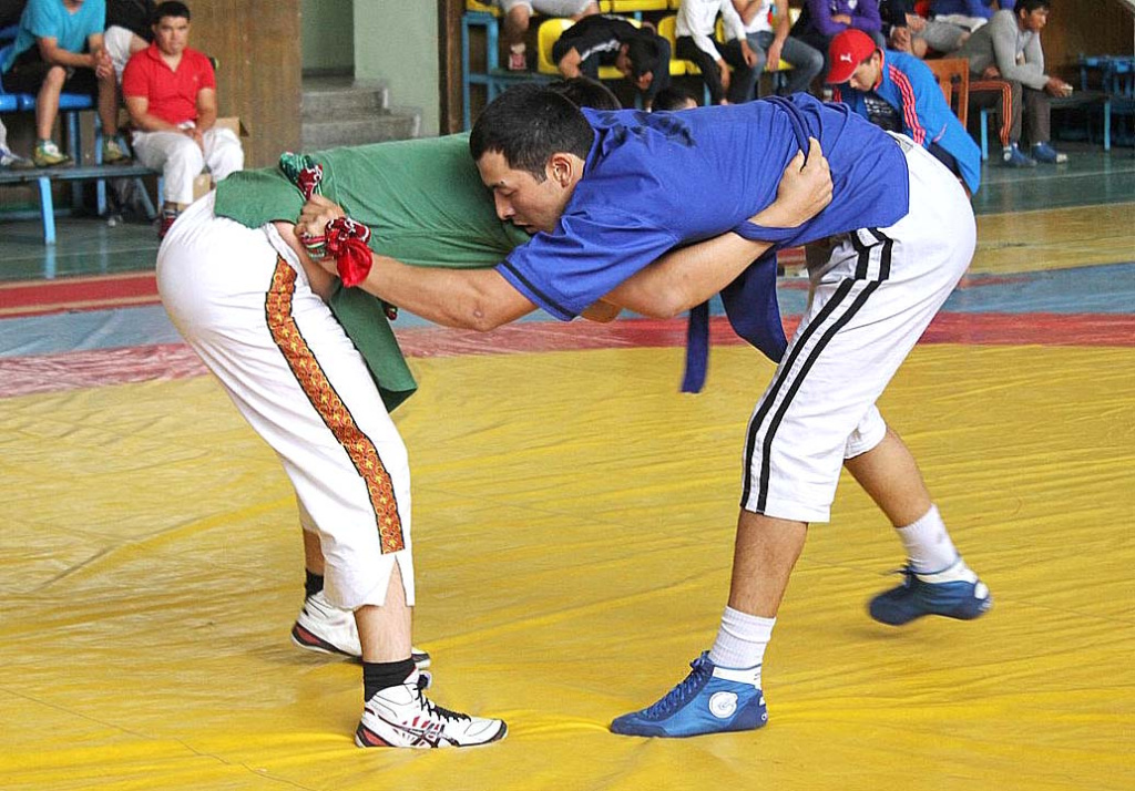 оясная борьба.jpg