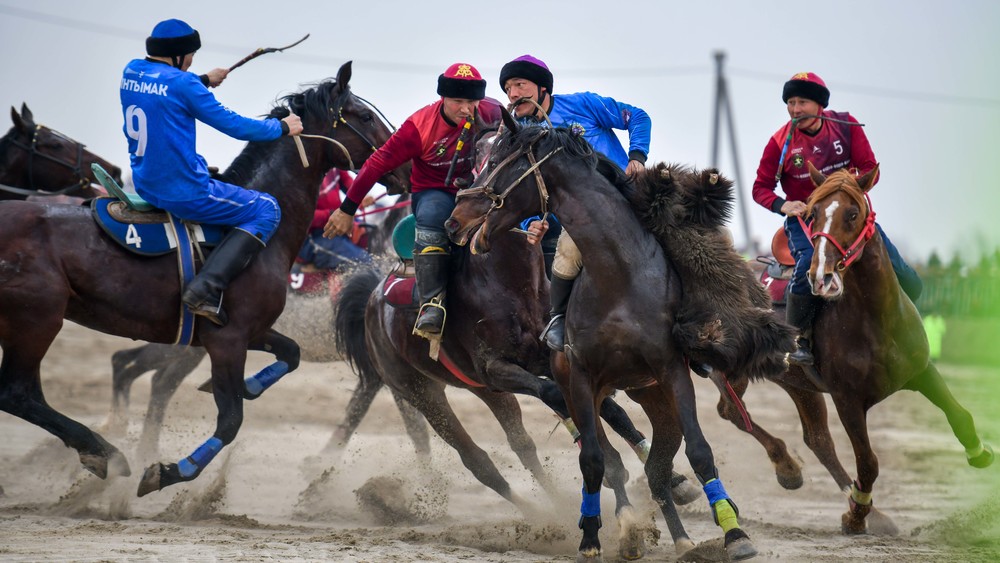 Көк бөрү (кокпар).jpg